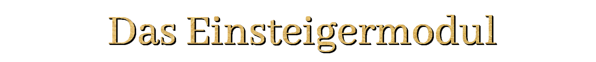 Business Consulting - Thomas Ockert